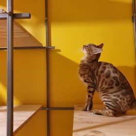 Atelier BOIS ET MÉTAL